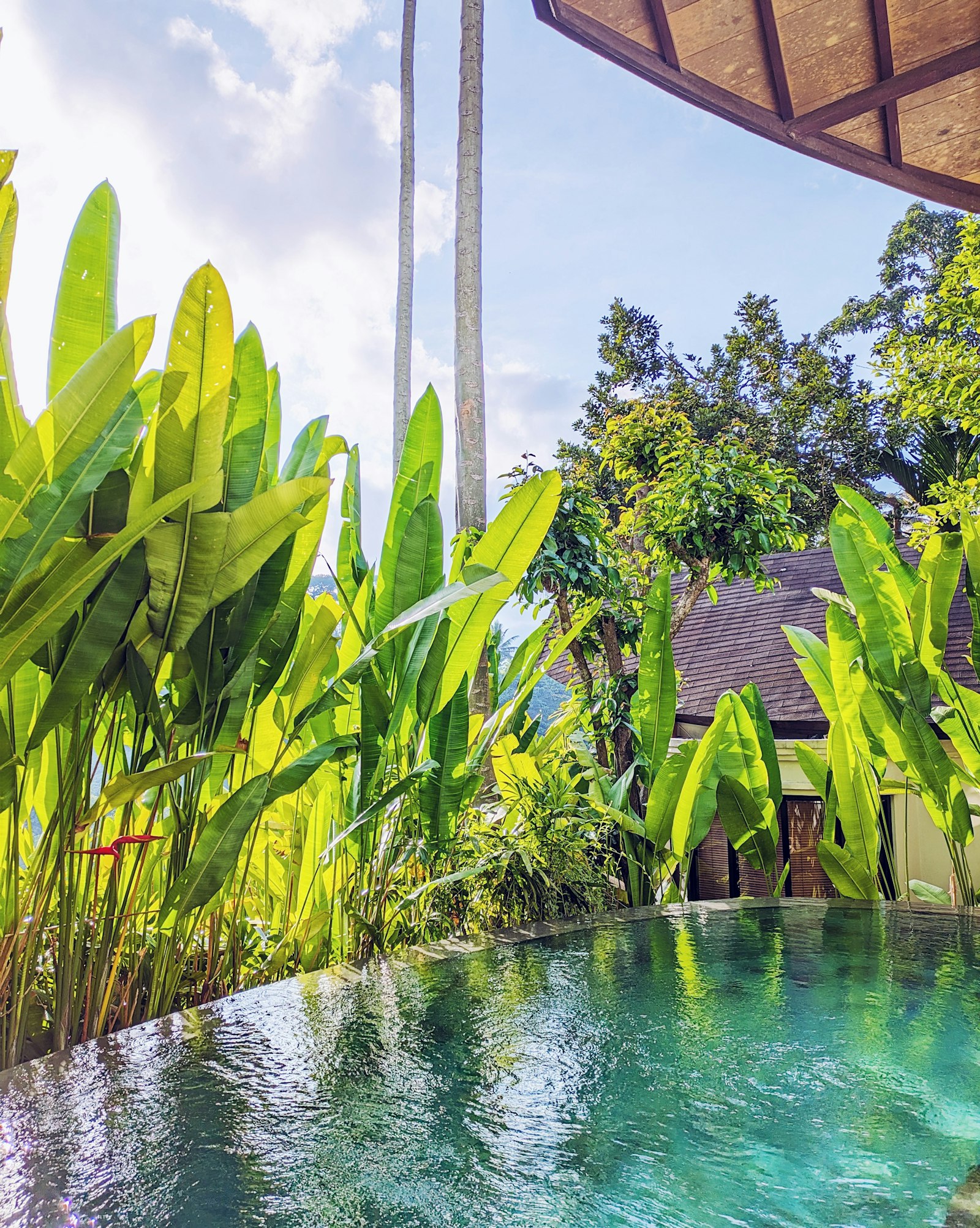 Ubud'da yemyeşil bitkilerle çevrili havuzlu bir tatil köyü