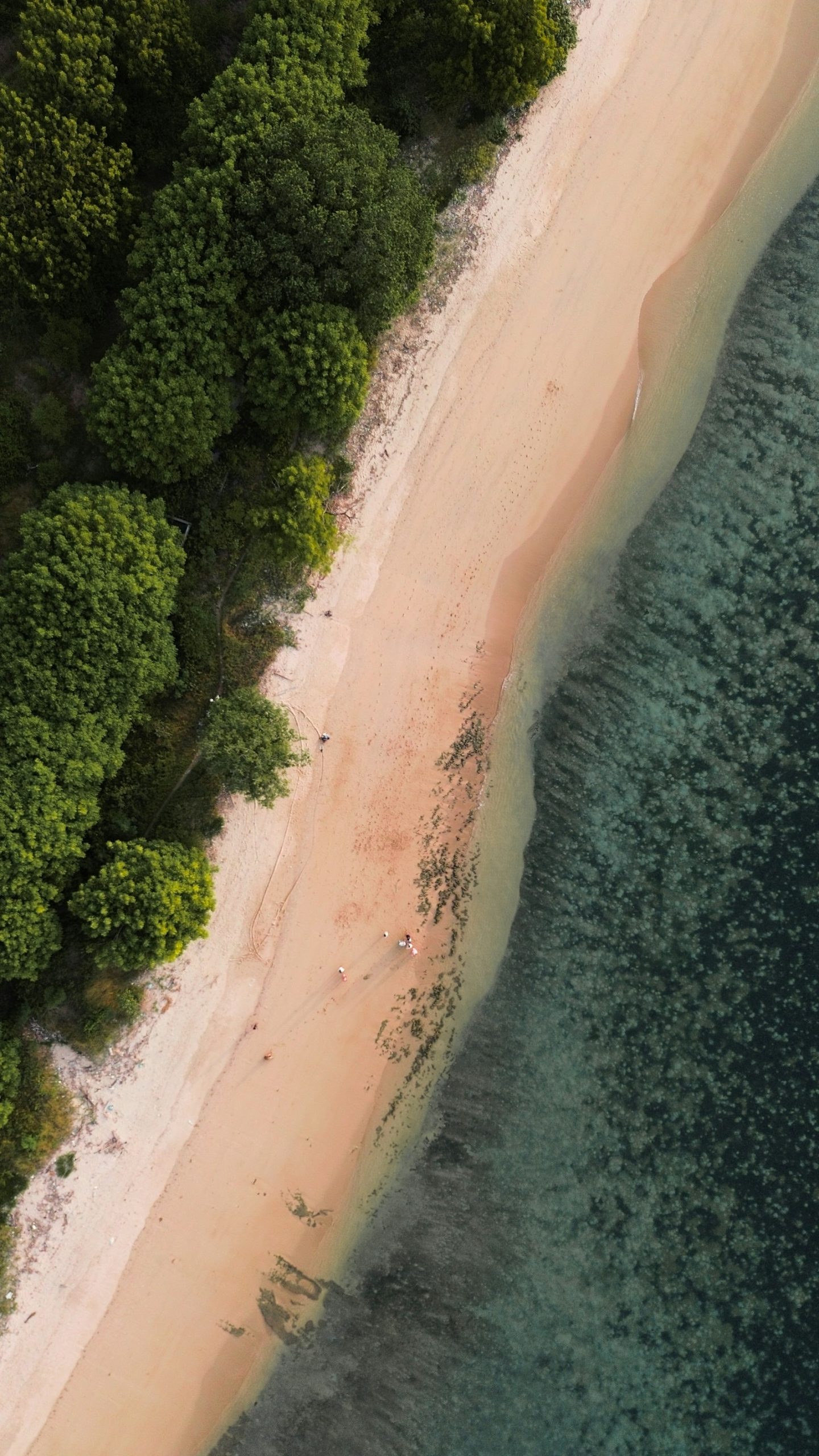 Lombok'ta turkuaz deniz ve yeşil ağaçlarla çevrili sahilin havadan görünümü