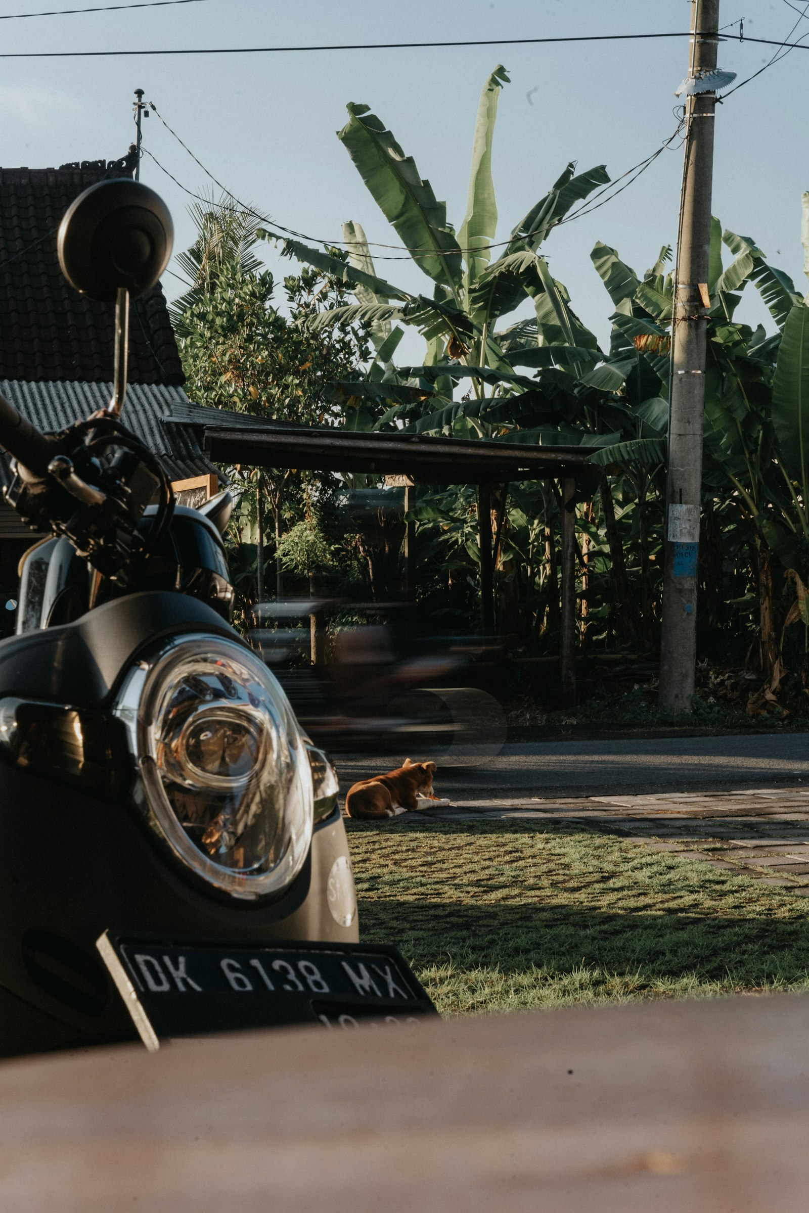 Bali'de yemyeşil bir manzaranın önünde park edilmiş scooter
